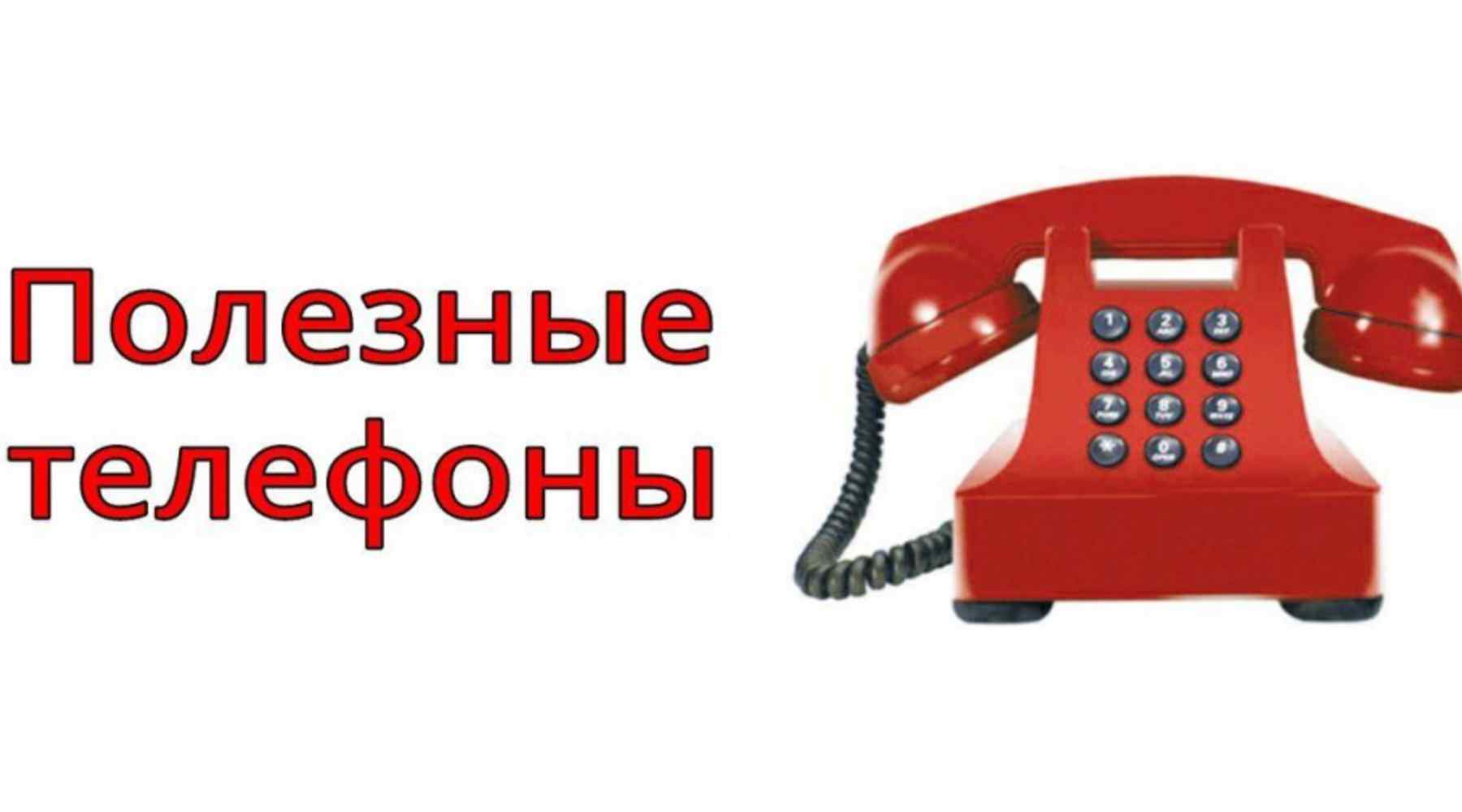 Полезные телефоны