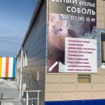Белый соболь в Реж