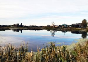 Каменка