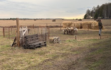 Подворье Ермаковых — изображение из карточки Яндекс Карт